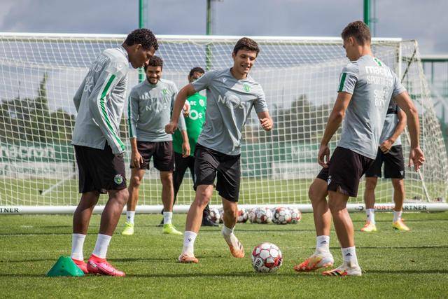 荷兰队今年主场进球已达23个 追平队史最佳纪录